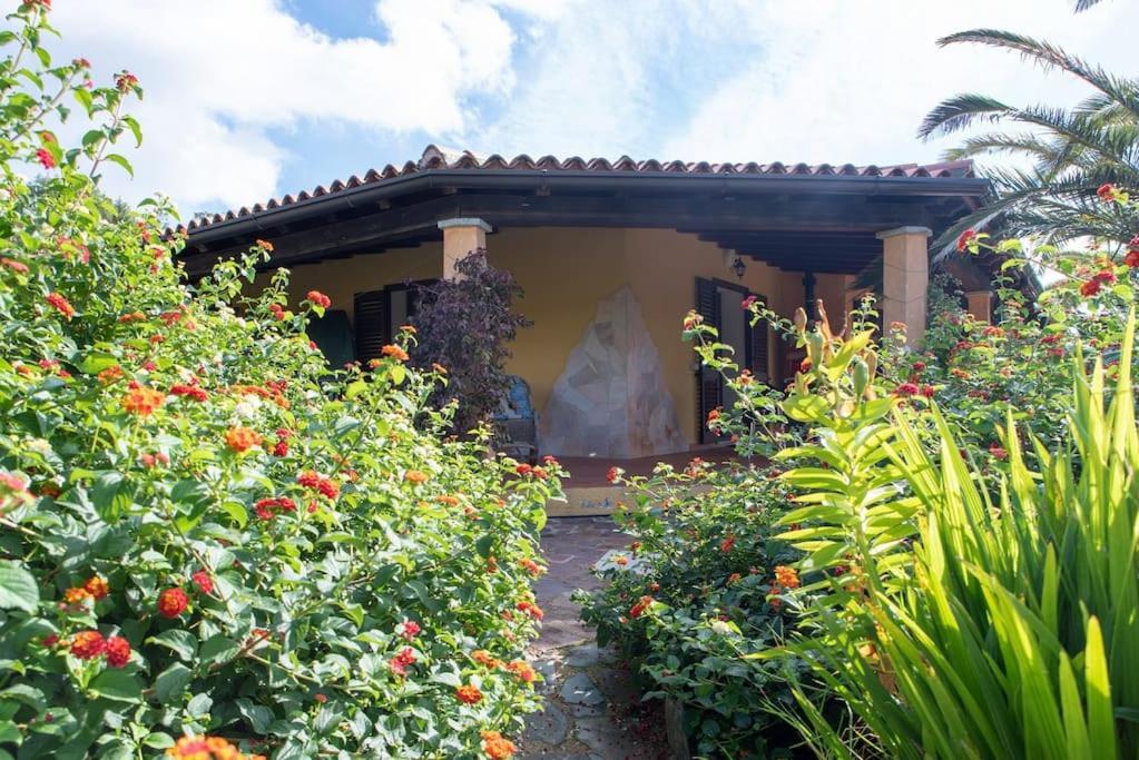 Residence Villa Smeralda Telti Ngoại thất bức ảnh